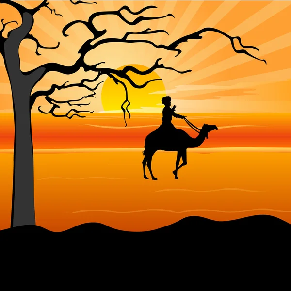 Man op kameel, desert — Stockfoto