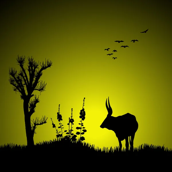 stock image Silhouette of a deer with jungle