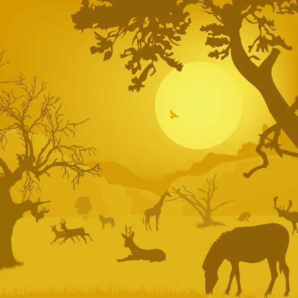 野生動物、動物、木、太陽 — ストック写真