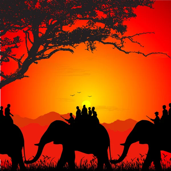 Dieren in het wild safari op een olifant — Stockfoto
