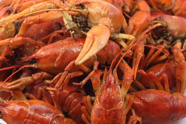 Red, delicious, boiled crayfish — Stock Photo, Image