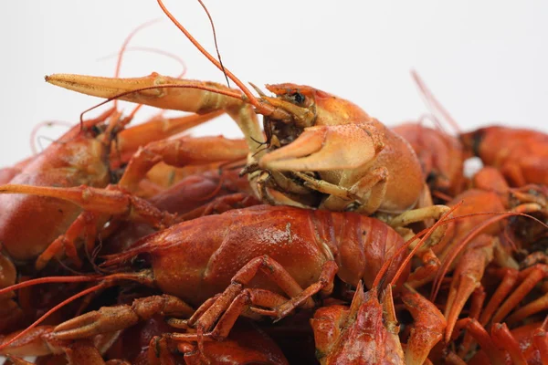 Red, delicious, boiled crayfish — Stock Photo, Image