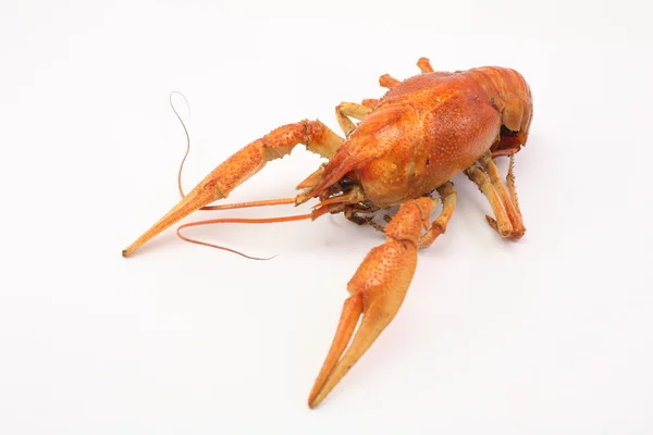 红色、 美味、 水煮小龙虾 — 图库照片