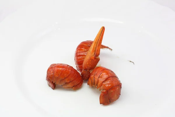 三尾爪小龙虾 — 图库照片