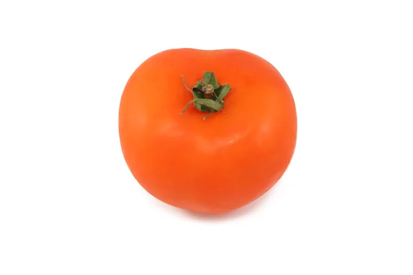 单一新鲜红番茄 — 图库照片
