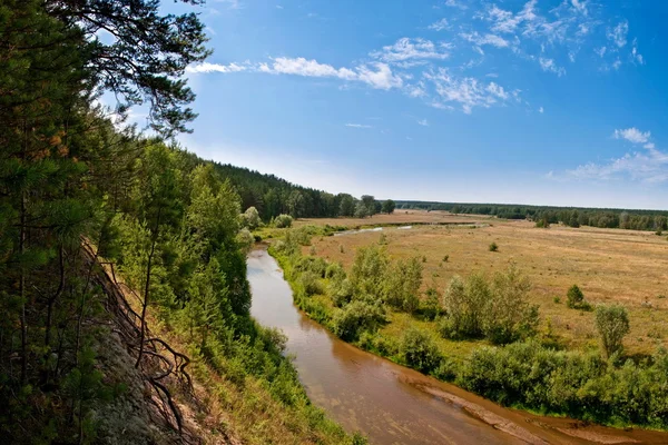 Trä liten flod nära plain — Stockfoto