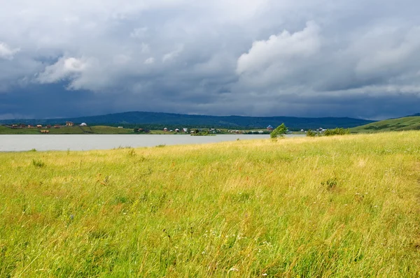 Yellow field near lake after a rain — Stock Photo, Image