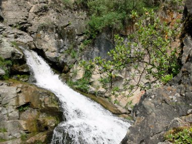 Dağlardaki küçük şelale