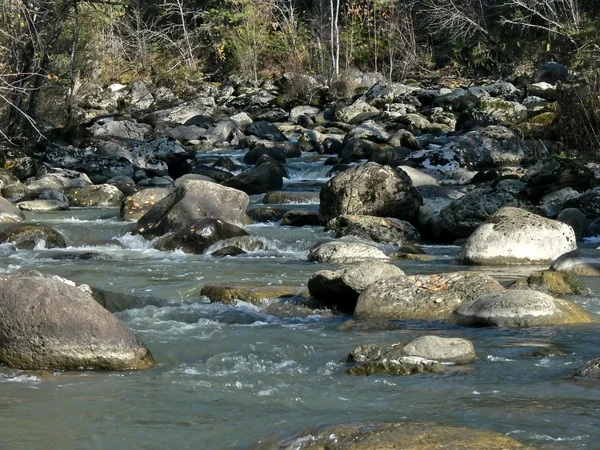 Der Fluss Jurtok, fließen. Herbst in der Taiga. — Stockfoto