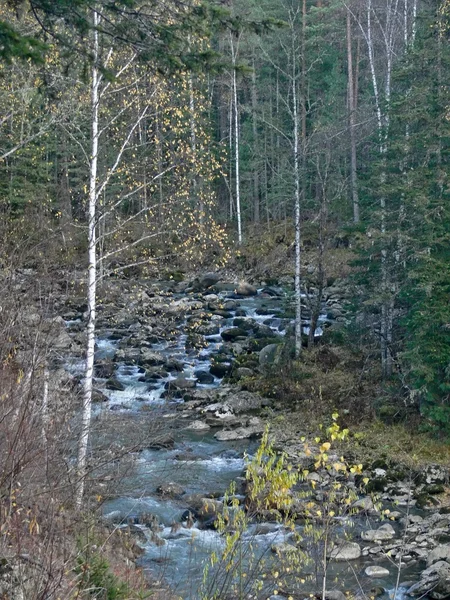 Fluss in der Taiga. Herbst. — Stockfoto