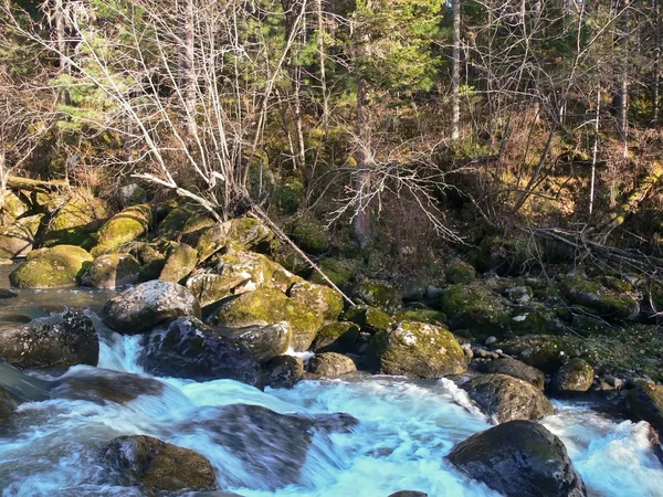 O fluxo e as pedras cobriram um musgo no rio — Fotografia de Stock