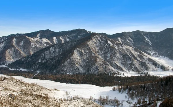 stock image Peak of mountain. Winter in Altay.
