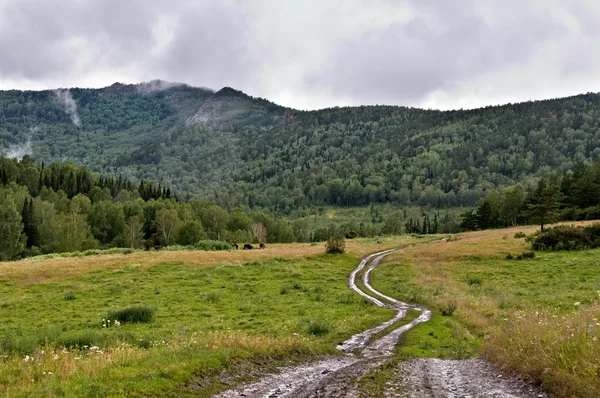 Estrada suja para montanhas — Fotografia de Stock