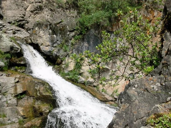 Petite cascade en montagne — Photo
