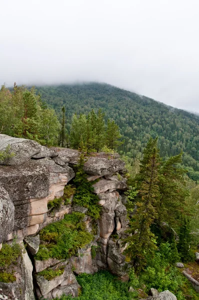 Las rocas en las montañas cubrían los árboles —  Fotos de Stock
