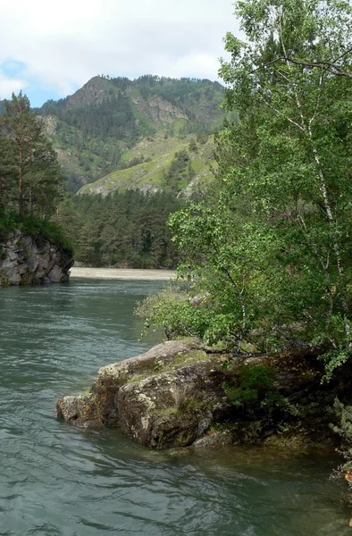 Σαφές Πράσινη ποταμού στο βουνό — Φωτογραφία Αρχείου