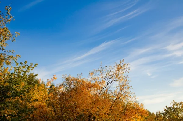 Obloha s řídkými mračny na podzim — Stock fotografie