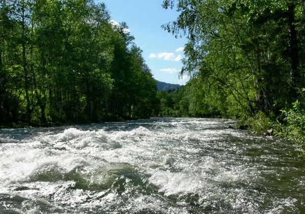 Flow mountains river at summer — Stock Photo, Image