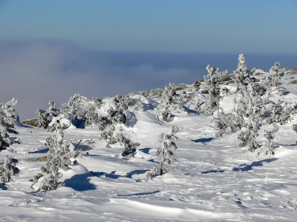Winter bergen landschap over wolken — Stockfoto