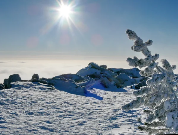 Зимние горы над облаками — стоковое фото