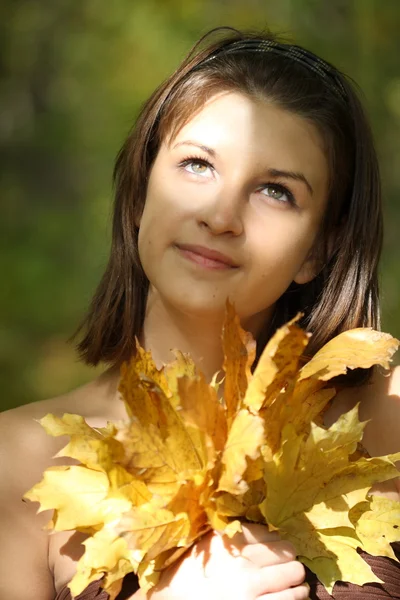Soleado otoño — Foto de Stock