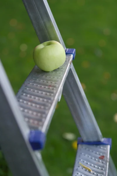 Grönt äpple på järn stege — Stockfoto