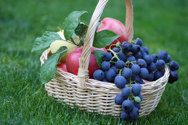 Виноград і яблука в кошику — стокове фото