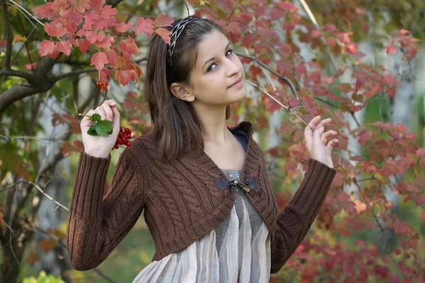 Sonbahar ormanındaki kız. — Stok fotoğraf