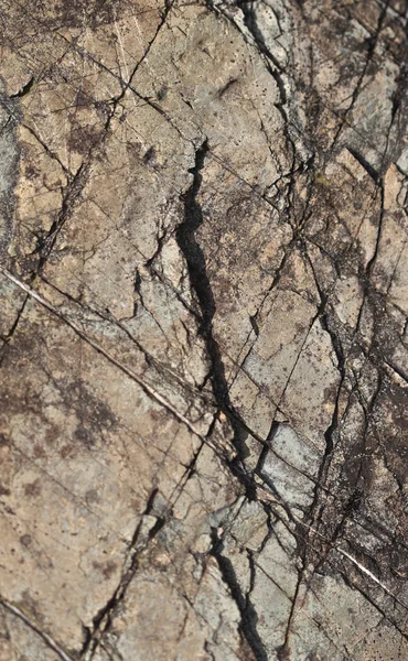Texture in pietra grigia — Foto Stock