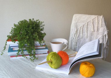 örgü, kitap, çay ve şal