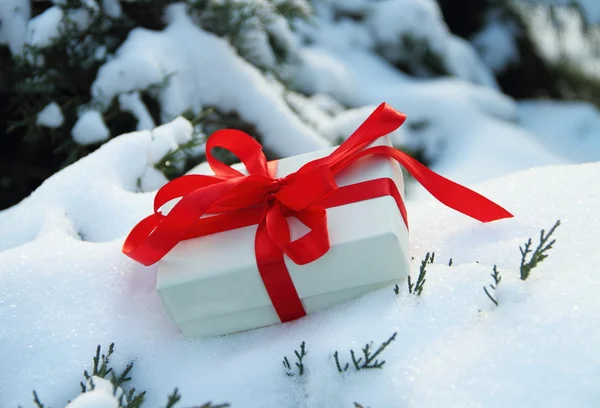 Winter gift — Stock Photo, Image