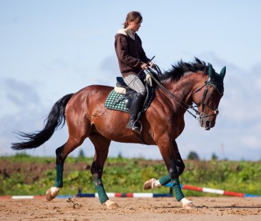 Young girl riding on bay horse clipart