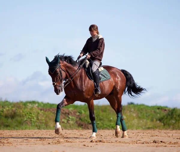 Menina jovem montando no cavalo baía — Fotografia de Stock