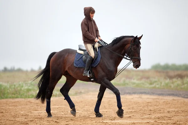 Formation : jeune fille chevauchant sur cheval de baie — Photo