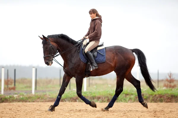 Treinamento: menina montando no cavalo de baía — Fotografia de Stock