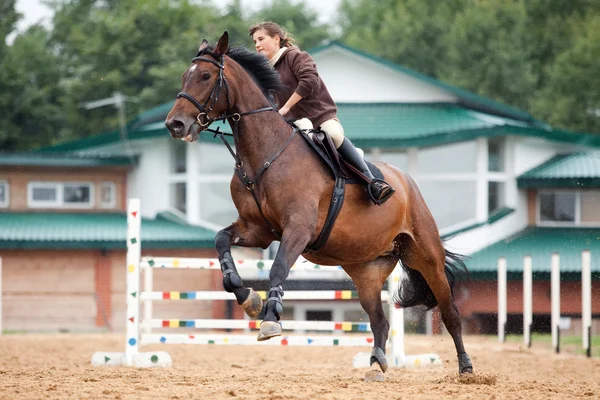 Treinamento: menina montando no cavalo de baía — Fotografia de Stock