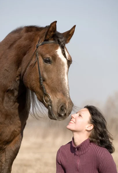 Young girl and the horse in field — Stock Photo, Image