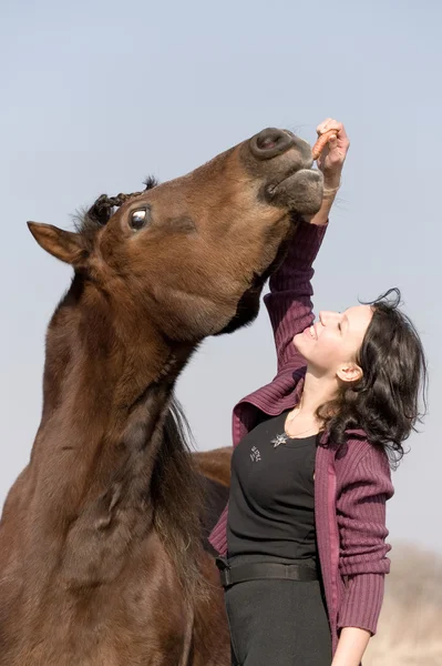 Young girl and the horse in field — Stock Photo, Image
