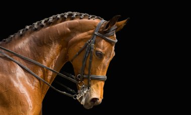 Dressage isolated on black background clipart
