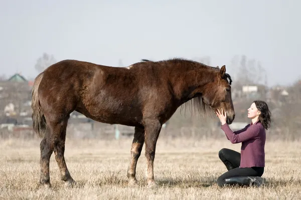 Jeune fille et le cheval dans le champ — Photo