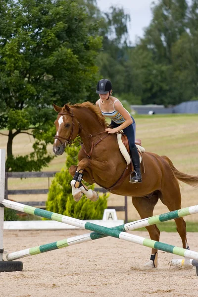 Fiatal lány lovaglás a gesztenye ló — Stock Fotó
