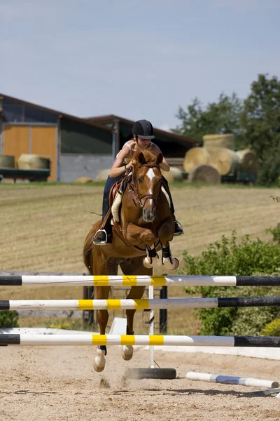 Chica joven montando a caballo de castaño —  Fotos de Stock