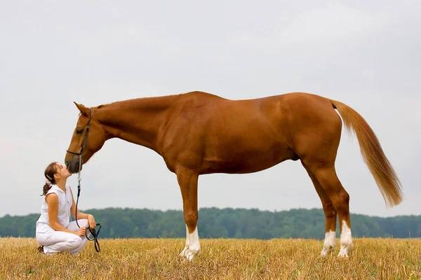 Inseparable-girl and chestnut horse — Stock Photo, Image