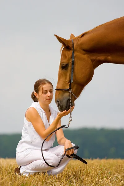 切っても切れない少女と栗の馬 — ストック写真