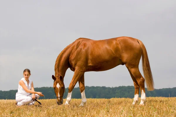 Neoddělitelné girl a kaštanový kůň — Stock fotografie