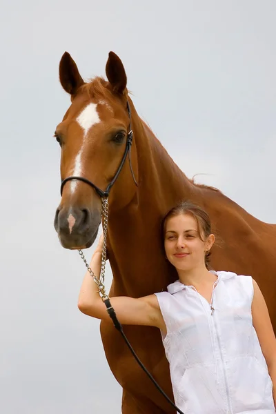 Kasztanowe koń bawarskiej i dziewczyna — Zdjęcie stockowe