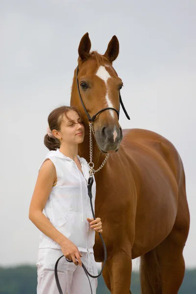Castaño caballo bavariano y niña — Foto de Stock