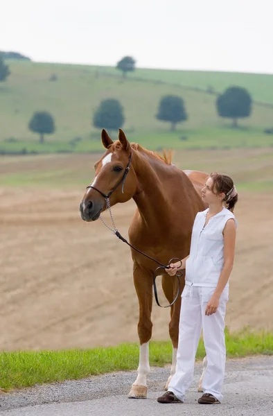 Rapariga inseparável e cavalo castanho — Fotografia de Stock