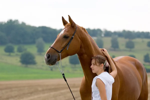 Άλογο κάστανο βαυαρικές και κορίτσι — Φωτογραφία Αρχείου
