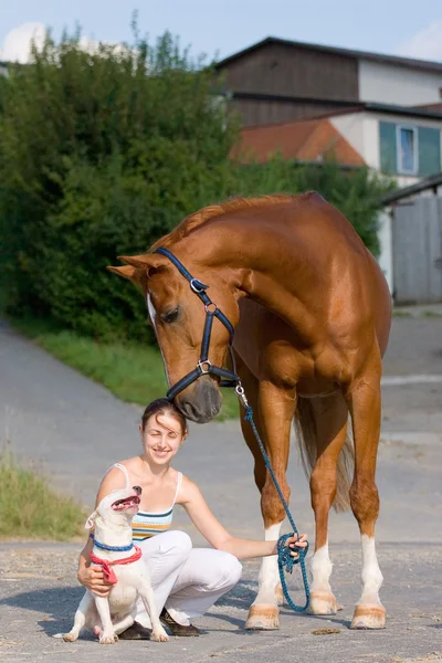 Inséparable-jeune fille, chien, cheval de baie — Photo